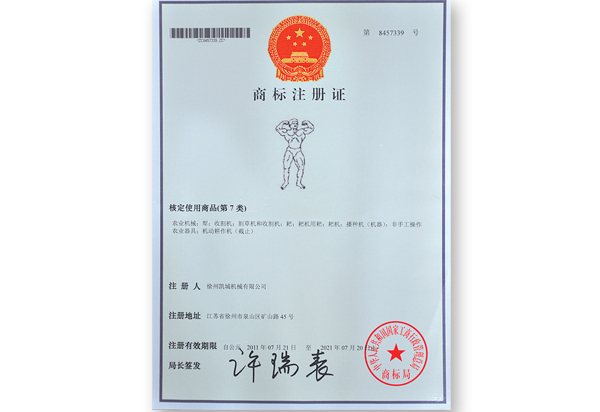 Certificate of t 